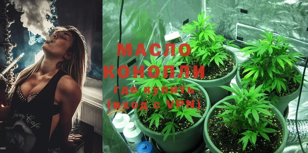 мдпв Осинники