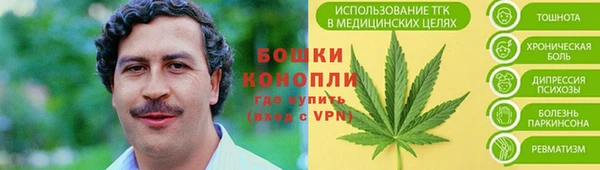 индика Армянск