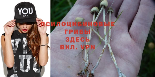 спиды Арсеньев